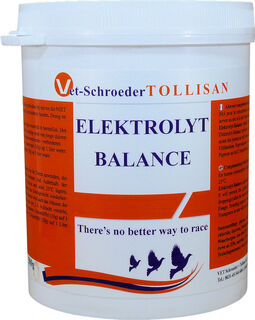TOLLISAN Elektrolyt  Balance 500g