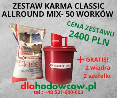 PALETA KARMY VERSELE LAGA CLASSIC PIGEON ALLROUND MIX 50 WORKÓW 