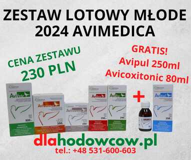 AVIMEDICA ZESTAW LOTOWY NA MŁODE 2024