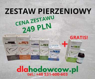 AVIMEDICA FIRMOWY ZESTAW PIERZENIOWY 2025