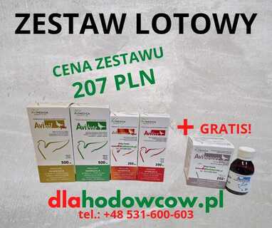 AVIMEDICA FIRMOWY ZESTAW LOTOWY-MŁODE 2025