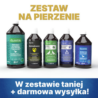VOLANTOR ZESTAW NA PIERZENIE 2025