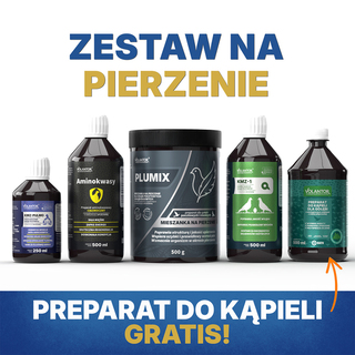 VOLANTOR ZESTAW NA PIERZENIE 2026