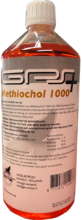 GPS Methiochol 1000