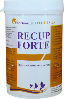 TOLLISAN Recup Forte 300g