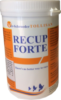 TOLLISAN Recup Forte 300g