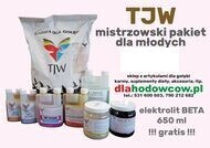 TJW Mistrzowski Pakiet dla Gołębi Młodych