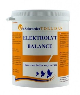 TOLLISAN Elektrolyt  Balance 500g