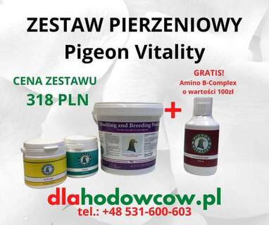 PIGEON VITALITY ZESTAW PIERZENIOWY + GRATIS!