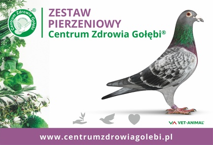 ZESTAW PIERZENIOWY CENTRUM ZDROWIA GOŁĘBI 