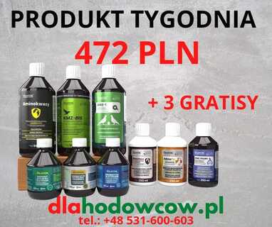  FIRMOWY ZESTAW VOLANTOR+ GRATISY