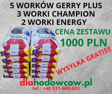 PALETA KARM LERSELE LAGA 10 WORKÓW