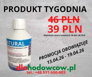 PRODUKT TYGODNIA NA 13.04.2026-19.04.2026 GREEN PLAY T-K-K NATURAL 200 NL