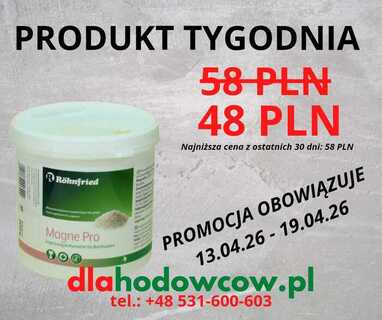 PRODUKT TYGODNIA NA 13.04.2026-19.04.2026 ROHNFRIED MAGNE PRO 500 GR