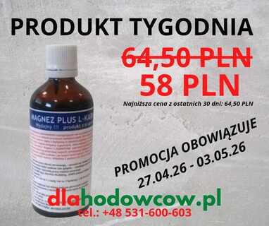 PRODUKT TYGODNIA NA 27.04.26-03.05.2026 GREEN PLAY MAGNEZ+L-KARNITYNA 100ML