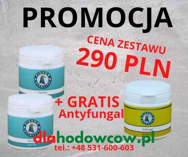 ZESTAW PIGEON VITALITY PROMO