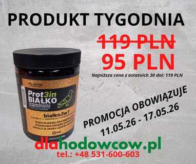PRODUKT TYGODNIA NA 11.05.26-17.05.26 VOLANTOR PROT3IN BIAŁKO 500 GR