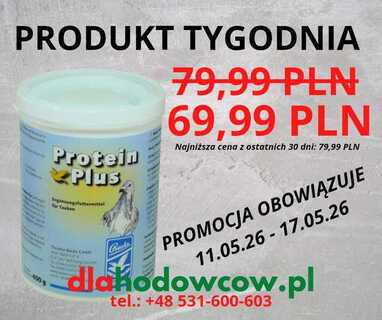 PRODUKT TYGODNIA NA 11.05.26-17.05.26 BACKS PROTEIN PLUS 400 GR