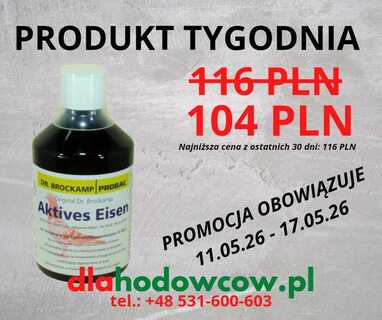 PRODUKT TYGODNIA NA 11.05.26-17.05.26 BROCKAMP ACTIVES EISEN 500 ML