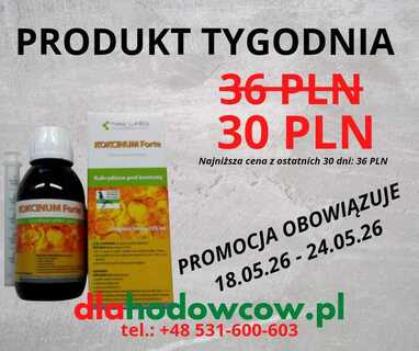 PRODUKT TYGODNIA NA 18.05.26-24.05.26 HAP LABS KOKCINUM FORTE 125 ML