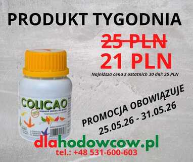 PRODUKT TYGODNIA NA 25.05.26-31.05.2026 ZOOWET COLICAO 100 ML