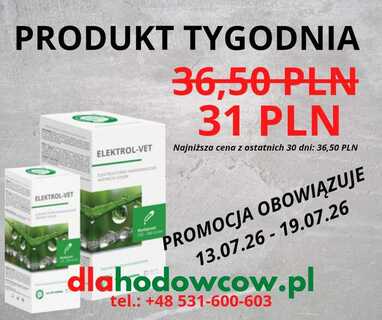 PRODUKT TYGODNIA NA 13.07.26-19.07.26 CZG ELEKTROL-VET 250 ML