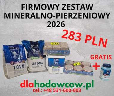 BEYERS FIRMOWY ZESTAW MINERALNO-PIERZENIOWY 2026