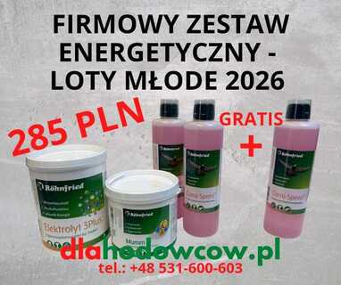 FIRMOWY ZESTAW ENERGETYCZNY-LOTY MŁODE 2026