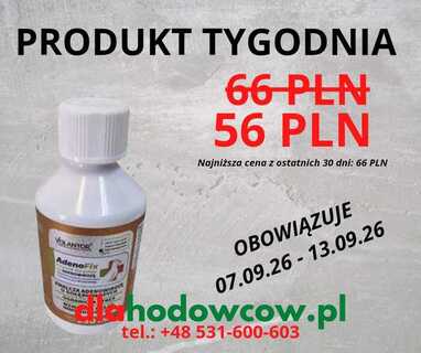 PRODUKT TYGODNIA NA 07.09.26-13.09.2026 VOLANTOR ADENOFIX 250 ML
