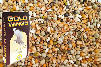 GOLD WINGS GDN - gołębie drobne nasiona 20 kg