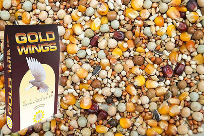 GOLD WINGS  BP - bez pszenicy 20 kg