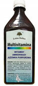 LEŚNA DOLINA MULTIVITAMINA 500ml