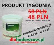 PRODUKT TYGODNIA NA 13.04.2026-19.04.2026 ROHNFRIED MAGNE PRO 500 GR