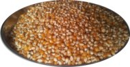 FLORNAS Kukurydza Popcorn 1 kg